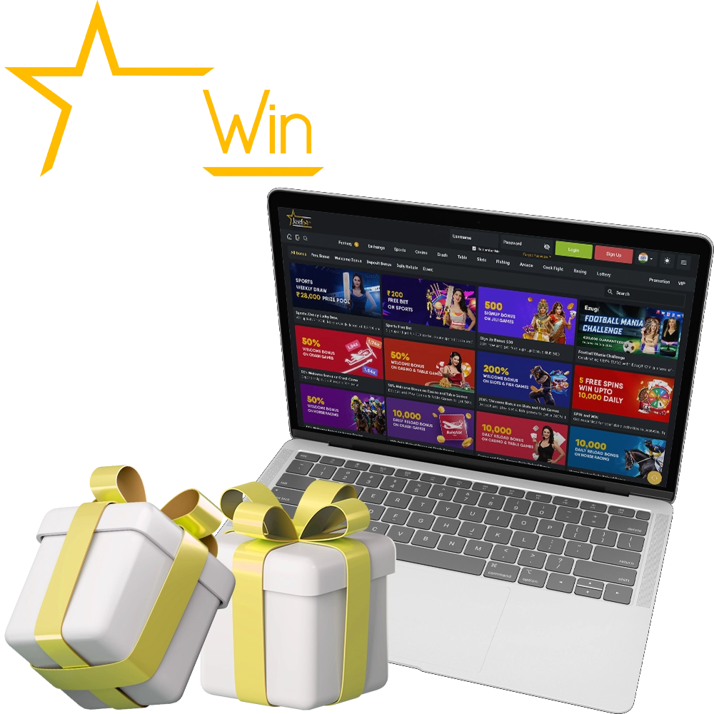 JeeTwin এজেন্টিৰ মাচুলৰ গঠন কিদৰে?